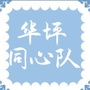 华坪同心队ico