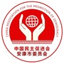 安康民进ico