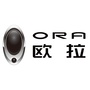 云南诚旺欧拉汽车ico