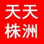 天天株洲ico