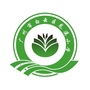 白云区龙溪小学ico