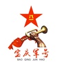 宝庆军号ico