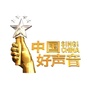 中国好声音丽水赛区组委会ico