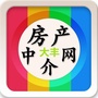大丰房地产ico