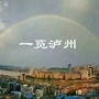 一览泸州ico