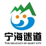 宁海迷道ico