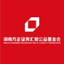 湖南方正证券汇爱公益基金会ico