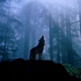 90微故事ico