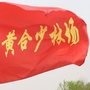 黄合少林场ico