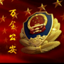 万全公安ico