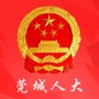 莞城人大ico