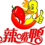 辣嘴鸭林东店公众号ico