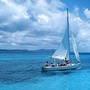 海兰心理ico