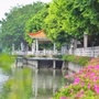 桂城夏东社区ico