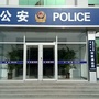 宋家派出所ico