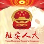 雅安人大ico