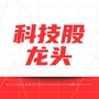 科技股龙头ico