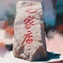 新毛家店ico