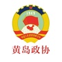 黄岛政协ico