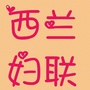 西兰妇联ico