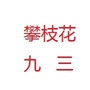 攀枝花九三ico
