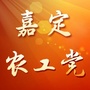 嘉定农工党ico