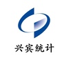 兴宾统计ico
