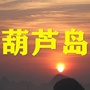 葫芦岛老乡大群ico