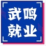 武鸣就业ico