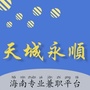 天城永顺ico