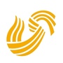 山东广播电视台滨州记者站公众号ico