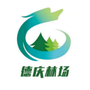 广东省德庆林场ico