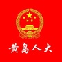 黄岛人大ico