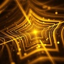 税月光辉ico
