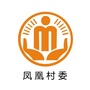高安凤凰阳光村务ico