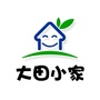 大田大家ico