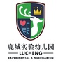 鹿城实验幼儿园ico