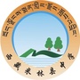 米林县中学ico