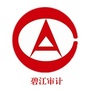碧江审计ico