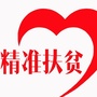 兴隆扶贫ico