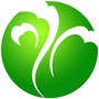 隆阳发布ico