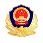 平安龙沙ico