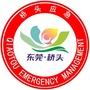 桥头应急ico