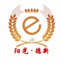 阳光德新ico