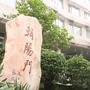 法治朝阳门ico