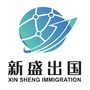 新盛出国ico