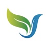 银山健康ico