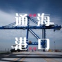 通海港口ico