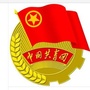 新都新繁东街社区青年ico
