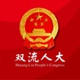 双流人大ico